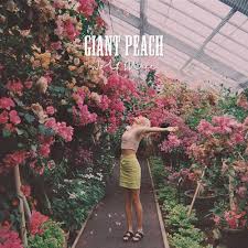 Wolf Alice Giant Peach cover